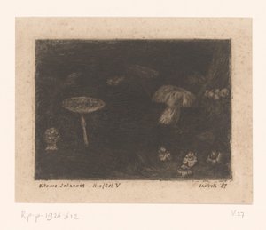 Paddenstoelen