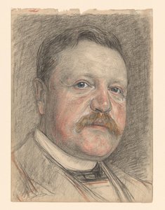 Portret van R.P.J. Tutein Nolthenius door Jan Veth