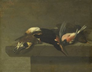 Dode vogels