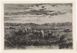 Landschap met schapen