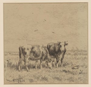 Twee koeien in een weiland door Johannes Martinus Vrolijk