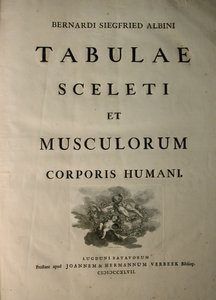 Albinus I, titelpagina, uit 