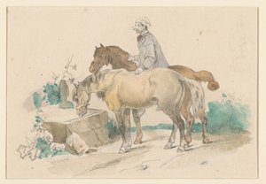 Boer met twee paarden bij een trog met water