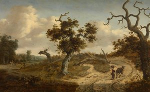  door Jan Wijnants