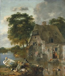 Zwanen, eenden en andere vogels voor een huisje aan het water