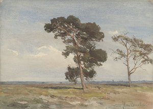 Gezicht op de heide met twee bomen