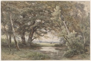 Watertje onder bomen aan het einde van een bos