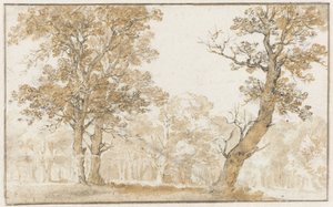 Haagse Bos