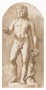 Jonge Bacchus staand