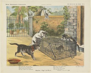 De muis en de poes