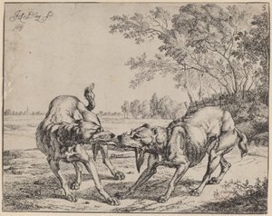 Het Betwiste Vlees (La viande disputé)