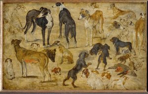 Dierstudies door Jan the Elder Brueghel