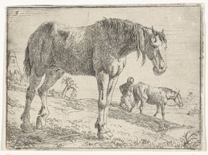 Staand paard Landschappen met paarden (serie titel) door Jan van Aken