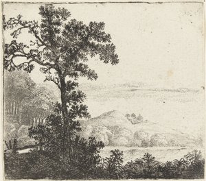 Landschap met boom bij een rivieroever