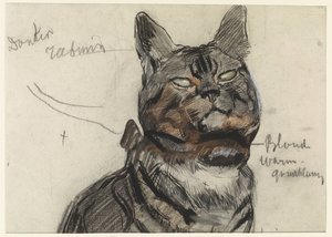 Kat, met kleurnotities door Jan van Essen