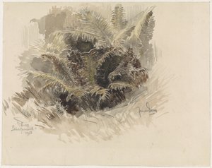 Koningsvaren in een tuin te Scherpenzeel door Jan van Essen