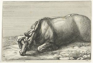 Gesneuveld paard op de linkerzij gezien door Jan van Huchtenburg