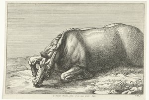 Gesneuveld paard op de linkerzij gezien door Jan van Huchtenburg