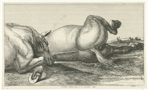 Twee achter elkaar liggende gesneuvelde paarden Gesneuvelde paarden (series title)