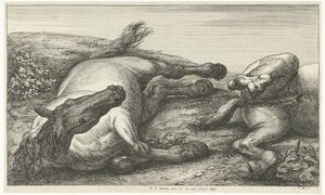 Twee gesneuvelde paarden waarvan de linker van voren gezien door Jan van Huchtenburg