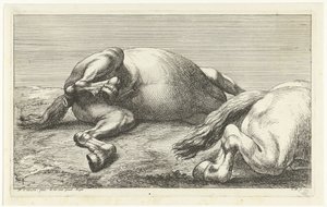 Twee gesneuvelde paarden waarvan de rechter van de zijkant gezien door Jan van Huchtenburg