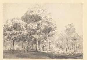 Gezicht op de Haarlemmerhout, Haarlem
