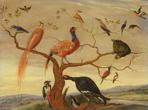 Een concert van vogels
