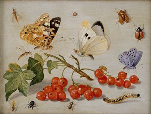 Een stilleven met takje rode bessen, vlinders, kevers, rups en insecten
