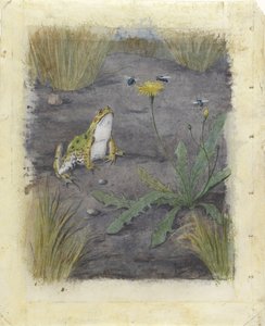 Kikker bij een paardenbloem met vliegen door Jan van Oort