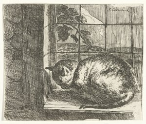 Kat in het raamkozijn door Jan van Ossenbeeck