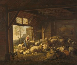 Schapen en geiten in een stal
