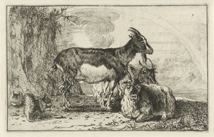 Geiten Dieren