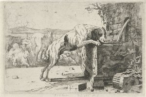 Hond bij een fontein door Jan van den Hecke