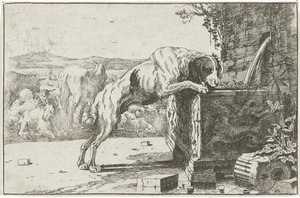 Hond bij een fontein