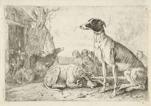 Hondenkennel