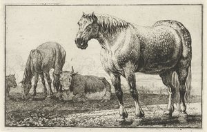 Paarden en koeien door Jan van den Hecke