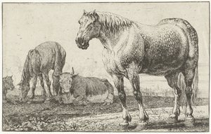 Paarden en koeien door Jan van den Hecke