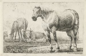Paarden en koeien