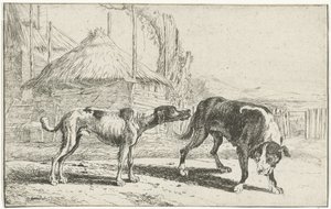 Reu en teef door Jan van den Hecke