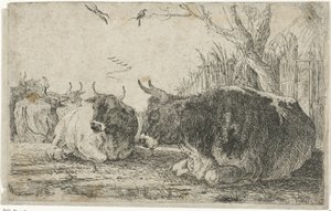 Rustende koeien door Jan van den Hecke