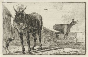 Twee ezels door Jan van den Hecke