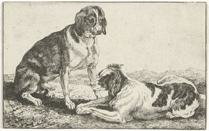 Twee rustende honden