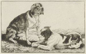 Twee rustende honden