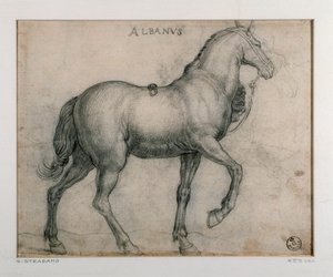 Studie voor een paard