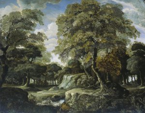 Gezicht in het bos door Jan van der Heyden