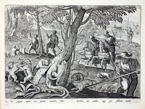 Jacht op katten met honden, illustratie uit 