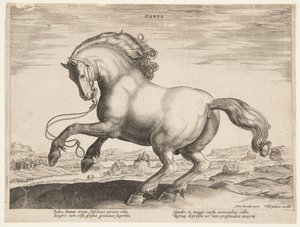 Een Deens paard, uit de vierde set van "Equile Joannis Austriaci"