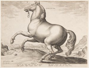 Een Frans Paard, uit de eerste set van "Equile Joannis Austriaci" door Jan van der Straet, called Stradanus