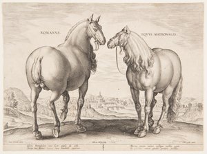 Een Romeins Paard, uit de eerste set van "Equile Joannis Austriaci" door Jan van der Straet, called Stradanus
