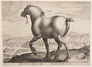 Een Saksisch paard, uit de eerste set van 